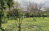 کد ملک104, زمین شهری متراژ بالا